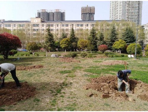 金年会金字招牌信誉至上：广元城市绿化是什么单位