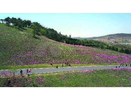 金年会金字招牌信誉至上：临沧市绿化市容局副局长