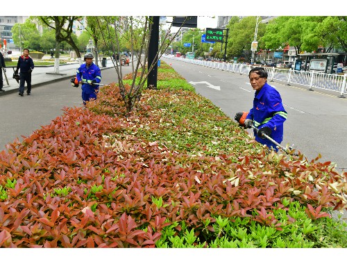 金年会金字招牌信誉至上：台州市政绿化公司